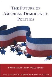 The Future of American Democratic Politics