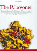 The Ribosome