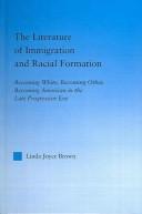 The literature of immigration and racial formation