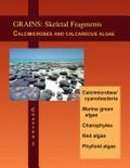 A color guide to the petrography of carbonate rocks