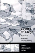 Coyote at large
