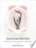 American Afterlife: Encounters in the Customs of Mourning