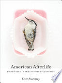 American Afterlife: Encounters in the Customs of Mourning