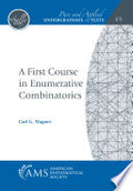 A First Course in Enumerative Combinatorics
