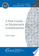 A First Course in Enumerative Combinatorics