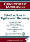 Zeta Functions in Algebra and Geometry