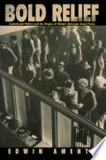 Bold Relief: Institutional Politics and the Origins of Modern American Social Policy