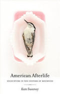 American Afterlife: Encounters in the Customs of Mourning