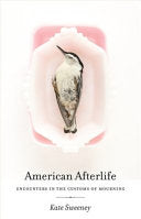 American Afterlife: Encounters in the Customs of Mourning