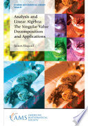 Analysis and Linear Algebra: The Singular Value Decomposition and Applications