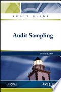 Audit Guide