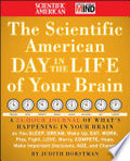 The Scientific American Day in the Life of Your Brain