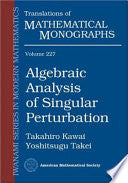 Algebraic Analysis of Singular Perturbation Theory