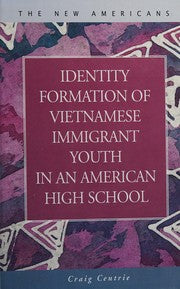 Identity formation of Vietnamese immigrant youth in an American high school