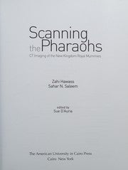 Scanning the Pharaohs