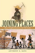 Joining Places: Slave Neighborhoods in the Old South (The John Hope Franklin Series in African American History and Culture)