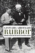 Growing American rubber