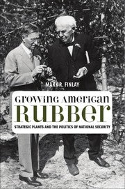 Growing American rubber