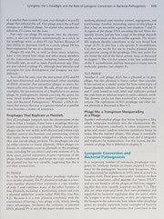 Molecular genetics of bacteria
