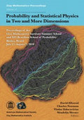 Probability and statistical physics in two and more dimensions